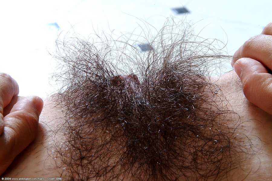 Voluptuous hairy latina pussy - XXX Dessert - Picture 8