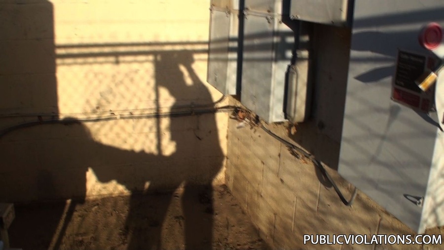 Public xxx. Stripped and fucked in public. - XXX Dessert - Picture 12