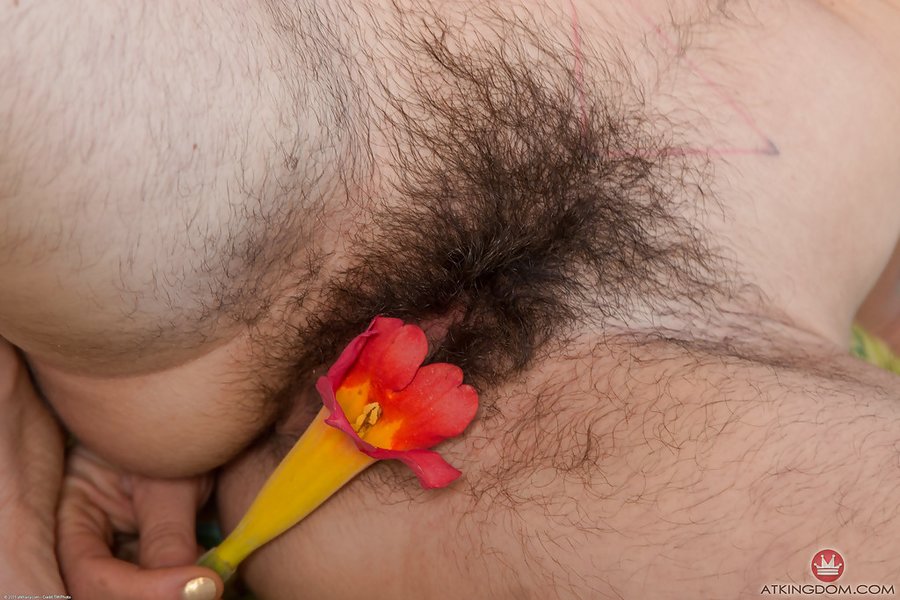 Hirsute brunette babe - XXX Dessert - Picture 14