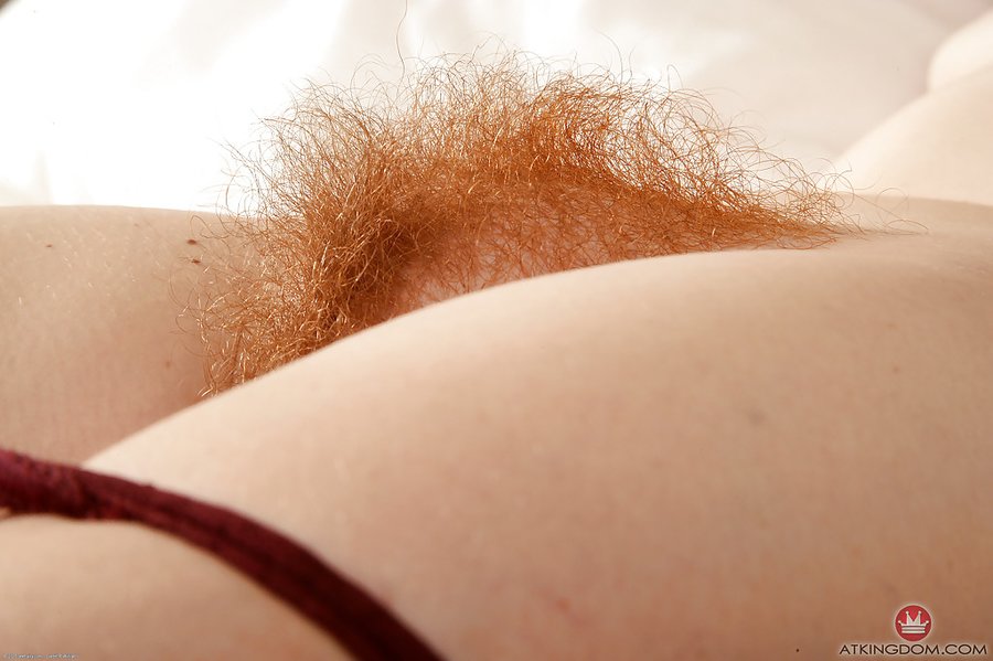 American small tits hairy ginger pussy - XXX Dessert - Picture 9