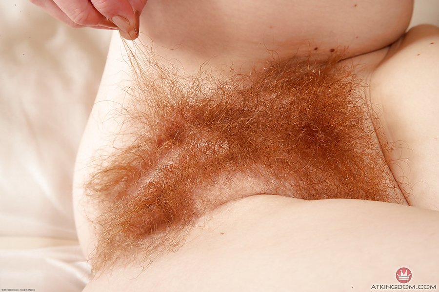 American small tits hairy ginger pussy - XXX Dessert - Picture 12
