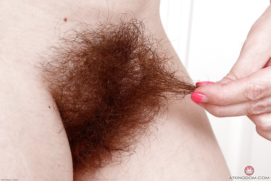 American cougar bush - XXX Dessert - Picture 5