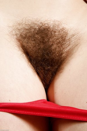 Naughty hirsute - XXX Dessert - Picture 4