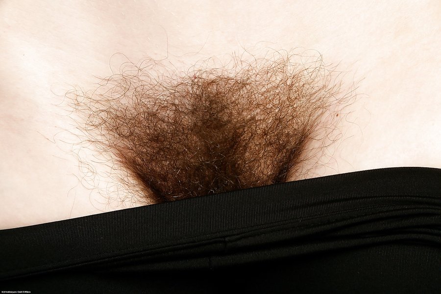 Mature hairy cunt - XXX Dessert - Picture 4