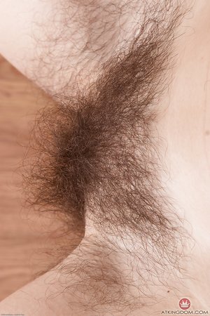 Mature hairy armpits pussy - XXX Dessert - Picture 15