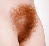 American small tits armpits