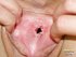 Vagina close up