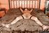 German submissive sexy stockings