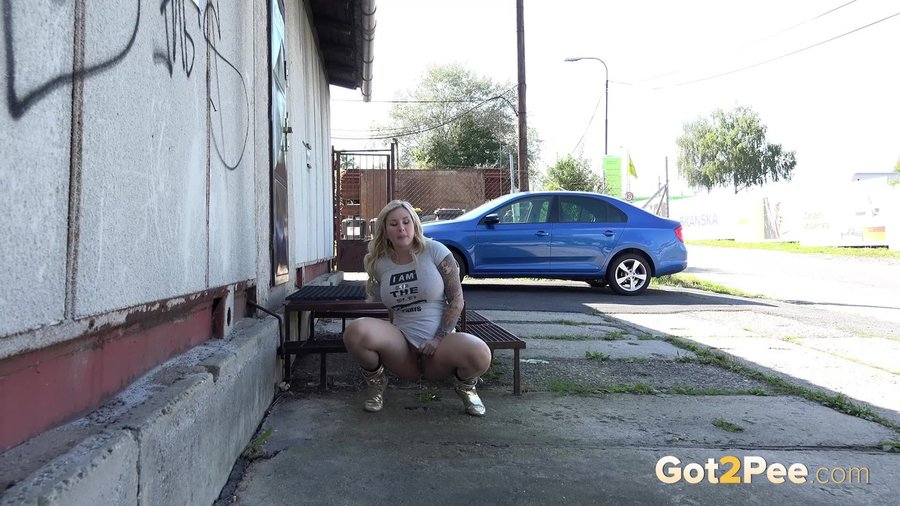 Piss hairy pussy - XXXonXXX - Pic 2