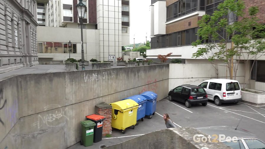 Pissing sexy ass teen - XXXonXXX - Pic 1