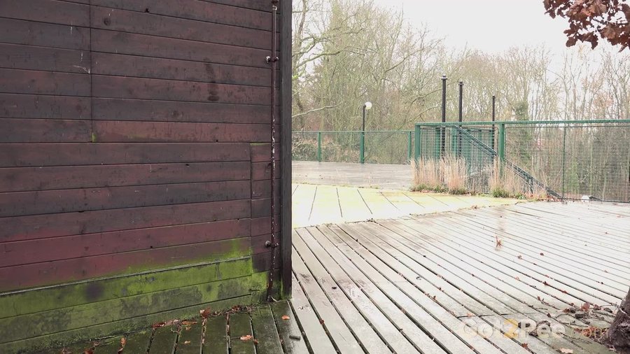 Naughty lesbian pissing - XXXonXXX - Pic 1