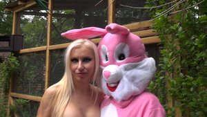 European easter bunny - Picture 5