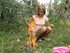 naughty young tiny teen