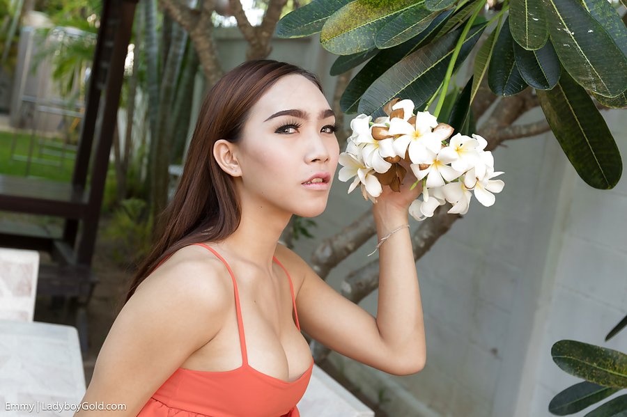 Pretty asian teen ladyboy - XXXonXXX - Pic 3