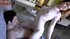 amateur couples gathered for
