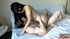cute babe makes love