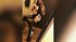teen cam squirt