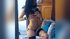 italian big tit teen