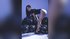 italian teen camgirl
