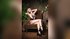 bisexual teen girl webcam