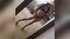athletic teen squirt