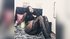 girl live sex