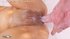 Small cum