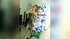 latin fingering squirt