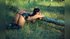 bisexual cam squirt