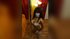 teen bisexual squirt