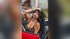 italian girl anal sex