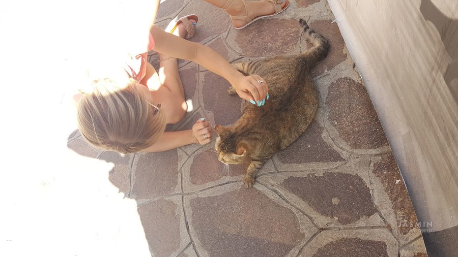 Tiny tits athletic girl - XXX Dessert - Picture 1