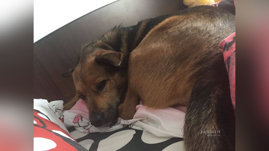 Tiny tits teen stockings - XXX Dessert - Picture 1