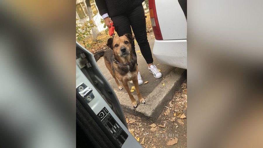 Tiny tits teen stockings - XXX Dessert - Picture 4