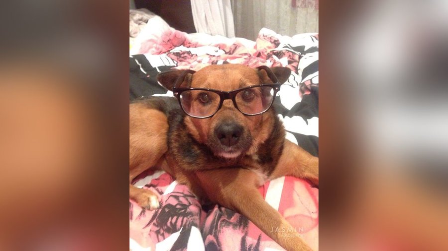 Teen tiny tits close up - XXX Dessert - Picture 2