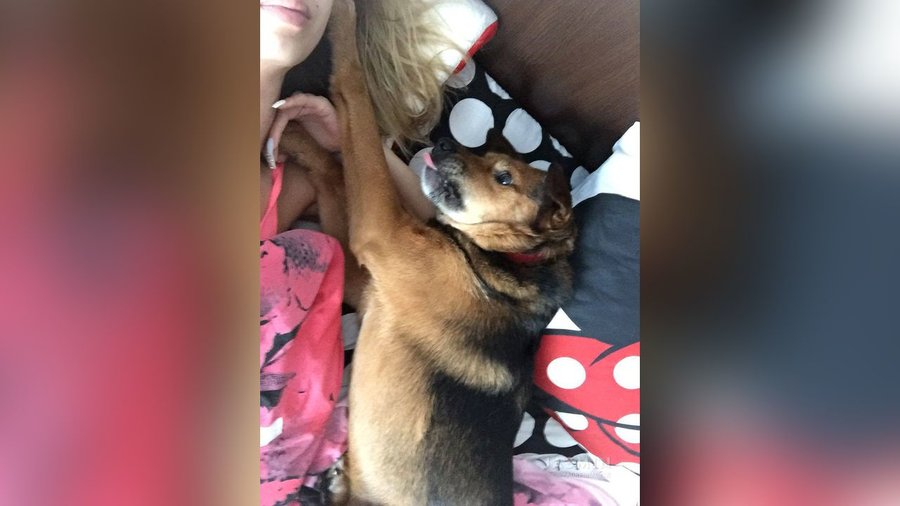 Teen tiny tits close up - XXX Dessert - Picture 3