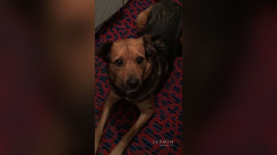 Teen tiny tits squirt - XXX Dessert - Picture 2