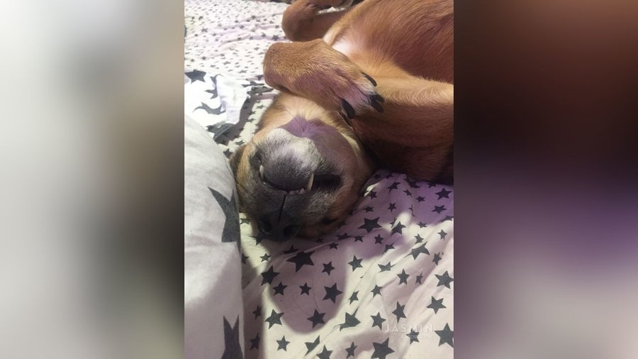 Teen tiny tits squirt - XXX Dessert - Picture 4