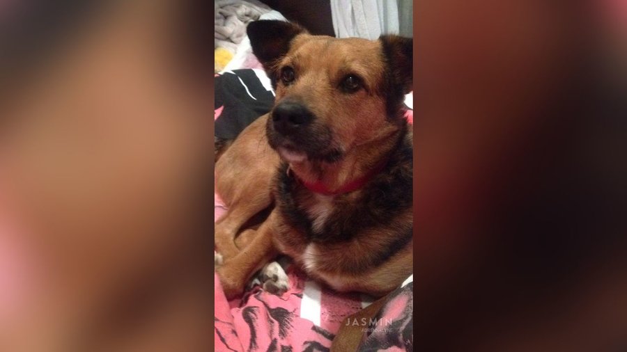 Teen tiny tits close up - XXX Dessert - Picture 4