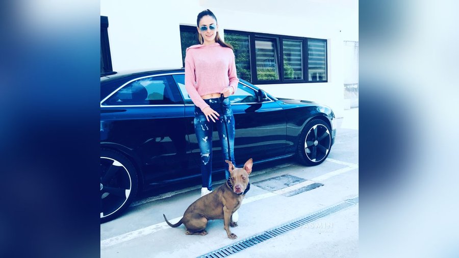 Bisexual strap on - XXX Dessert - Picture 1