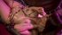 latin french teen squirt