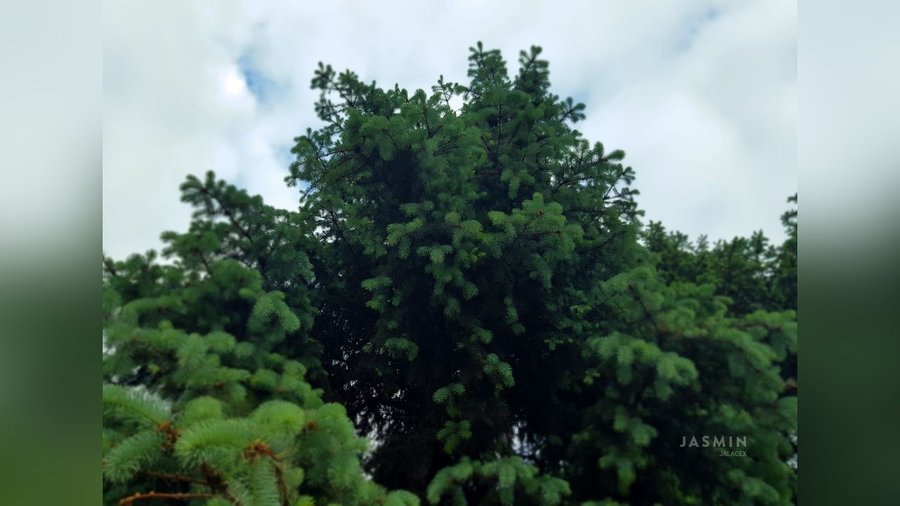 Bisexual girl - XXXonXXX - Pic 1