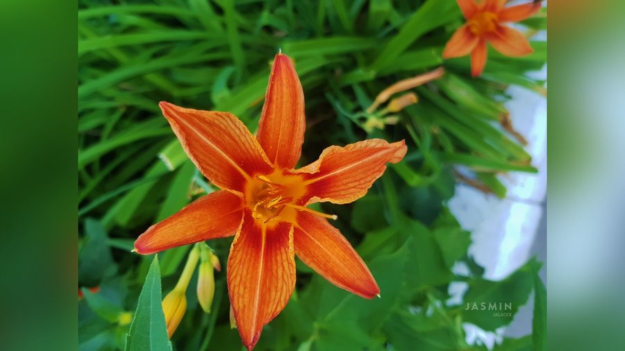 Webcam girl - XXXonXXX - Pic 1