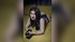 athletic girl dildo