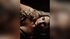 girl live sex