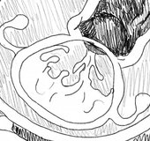 Impregnation creampie for a horny minx