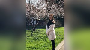 Butt plug - XXX Dessert - Picture 1