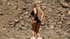 webcam romanian dildo