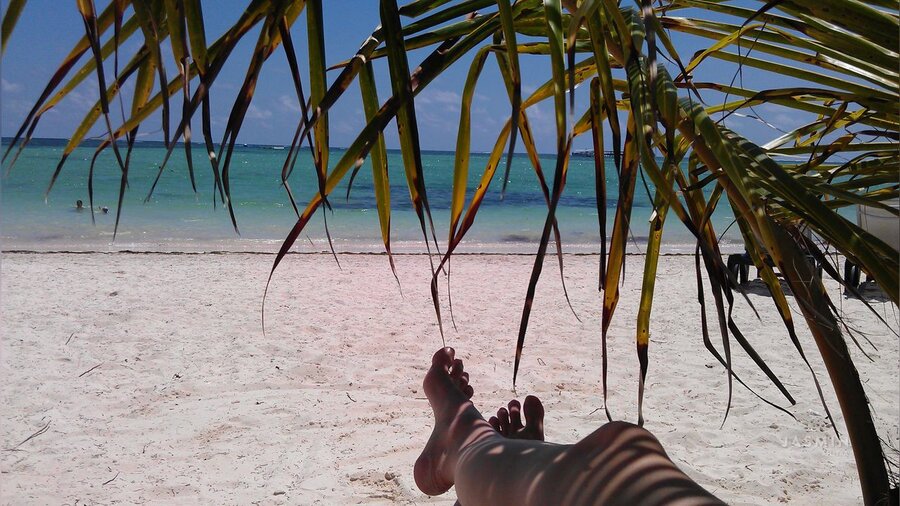 Bisexual anal sex - XXX Dessert - Picture 3