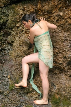 Varia bushy - Picture 5
